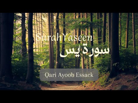 SURAH YASEEN | QARI AYOOB ESSACK