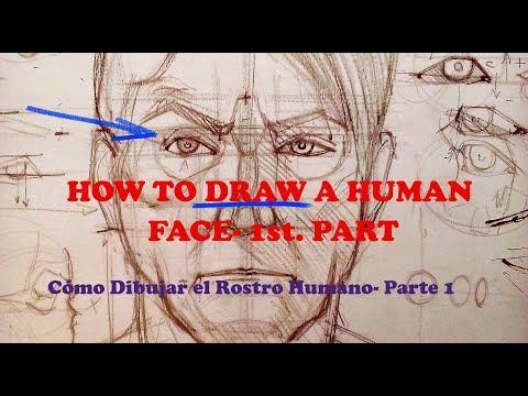 Como Dibujar el rostro humano 1 parte