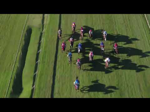 Drone footage 20210606 Race 7 won by SINGFORAFA