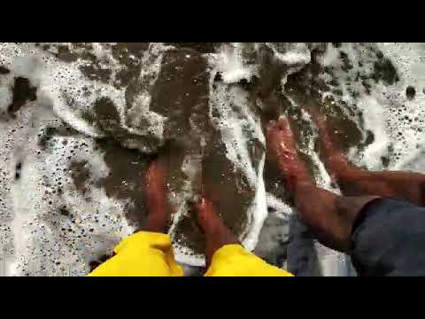 Kuyippilli beach vibes