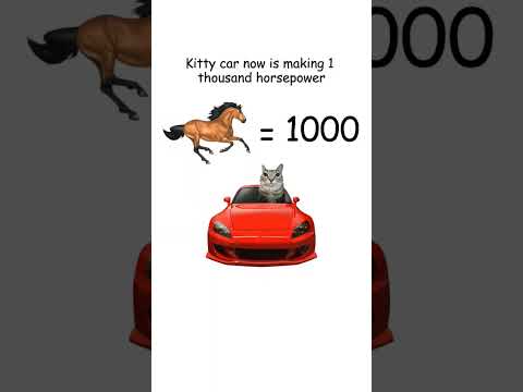 VTEC explained by cats #Cars #Cats #Kitty #Fyp #Viral #VTEC #assamtezpur