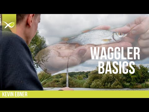 *** MATCH ANGELN TV *** l WAGGLER BASICS l KEVIN EBNER
