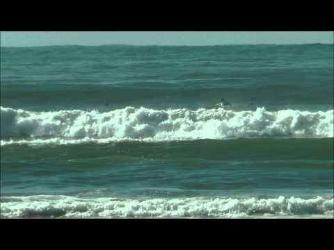 SURF TRAINING SCHOOL  |  Treinos  |  9 Novembro 2014