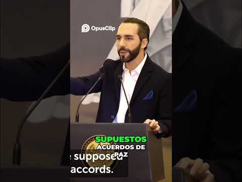 El Salvador  La Paz Que Trajo Más Violencia