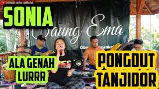 Download lagu SONIA || PONGDUT TANJIDOR || ALA GENAH || CINEUR GDOR || EDISI LATIHAN mp3