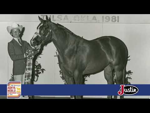 AQHYA World Championship Show Highlight: July 31, 2021