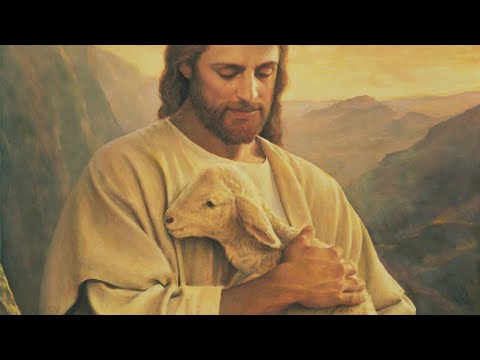 Bazooka Brando - Love is