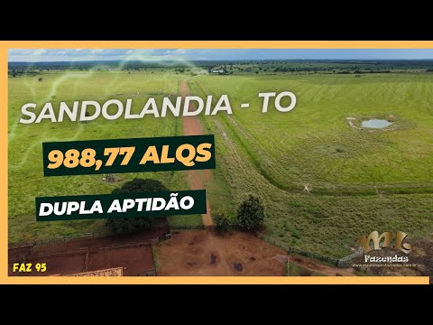 FAZ 95 - Fazenda a venda no Tocantins, região de Sandolândia com 988.77 alqueires dupla aptidão.