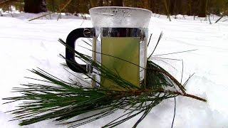 Wild Edibles- Pine Needle Tea