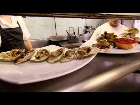 download lagu mp3 mp4 New England Oyster Farms, download lagu New England Oyster Farms gratis, unduh video klip New England Oyster Farms