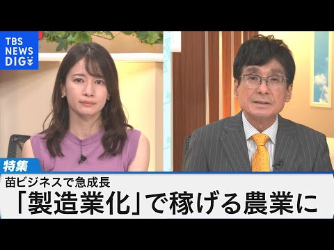 アエレガ・ハーネリについて詳しく解説