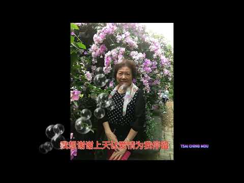 2022 11 12 Distrito de Taishan, Nova Cidade de Taipei - Maple Tree Hebin, Coentro Wisteria explodindo