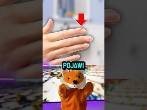 Triki, które pomogą Ci przeżyć ☀️