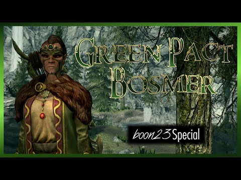 Wendriel, the Green Pact Bosmer | Boon23 Special | Skyrim Build Guide
