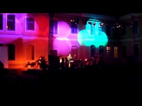 IRENA ( PAMPERS ) BITOLCANI MERAKLII