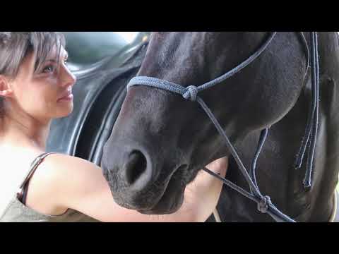 Rétrospective 2019 2020