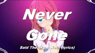 Said The Sky -  Never Gone lyrics