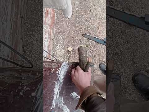 фото пила  садовая аккумуляторная 0