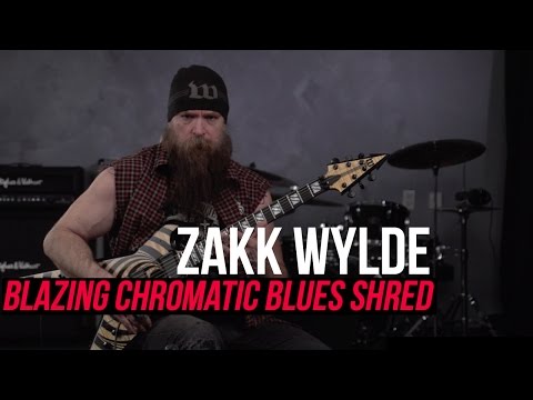 Zakk Wylde - Blazing Fast Chromatic Blues Shred Lick!