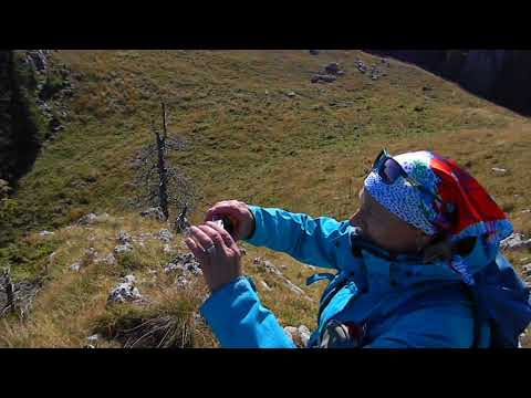 Pe platoul alpin Lespezi,Claia de Piatra,Bucegi,1.10. 2017