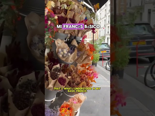 Vídeo relacionado con Travel. La vuelta al mundo en 1000 preguntas 2 (Viaje y aventura)