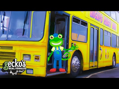 Gecko And The Party Bus - Educational Videos for Kids
