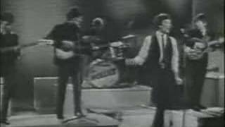 Too Much Monkey Business - The Hollies