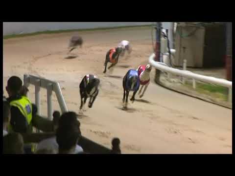 Riverside Honey - Coral TV Trophy - Heat 1 (track record)