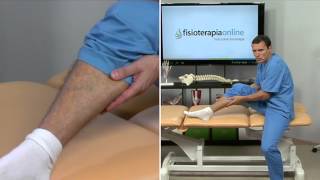 Tratamiento rotura de fibras o rotura muscular - Fisioterapia Bilbao