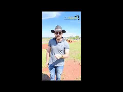 Poda drástica em área urbana em Campo Grande MS