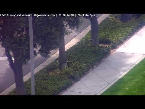 Live webcam of Disneyland Cam