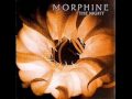 Morphine The Night 