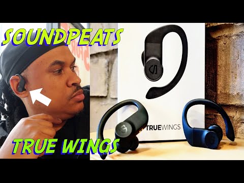 SoundPeats TrueWings Wireless Earbuds "Last Word Review"