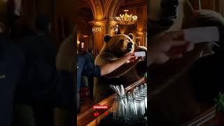 Download lagu Bear and 🧍‍♂️ #shortvideo #funny #viralvideo #animals #venom #cartoon #cute #facts mp3