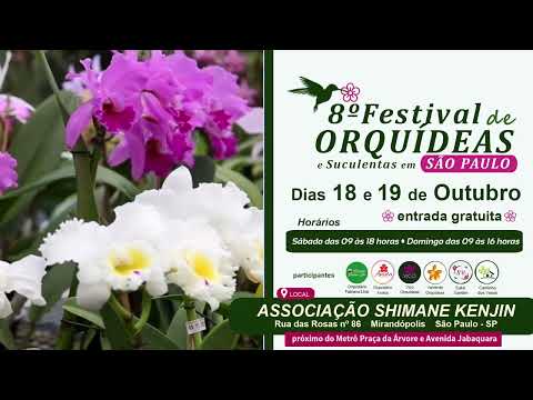 8º Festival de Orquídeas, Suculentas e Flores em São Paulo/SP