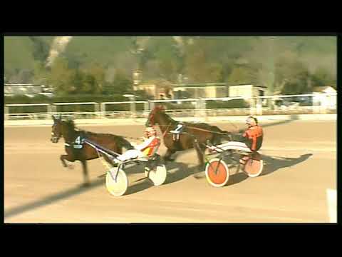 Trotto 14/02/2020 - 4ª corsa