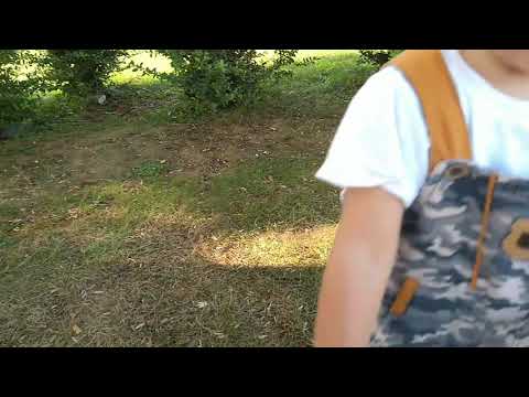 Kedi ile oynayan masumiyet