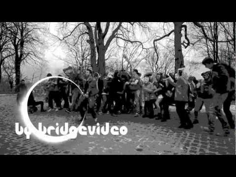 Harlem Shake ~ Gifhorn / Bahnhof 2013