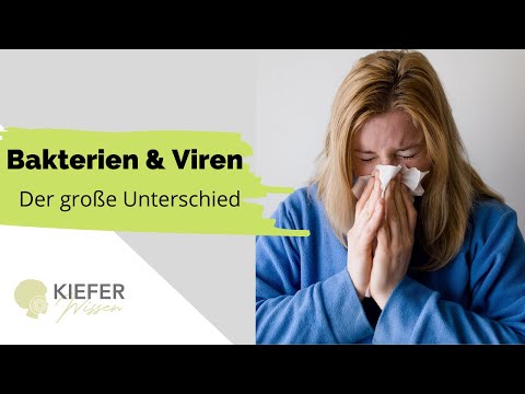 Viren vs. Bakterien - Aufbau, Funktion & Behandlung