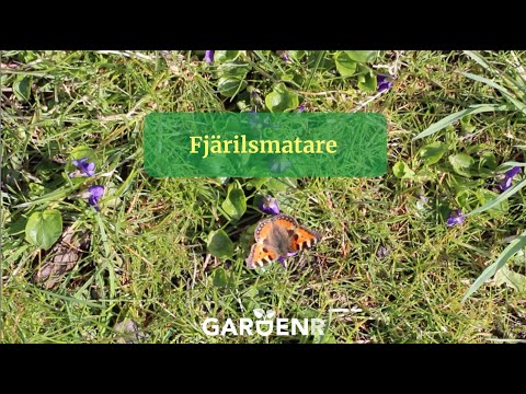 Fjärilsmatare - Trädgårdshacks med GardenR
