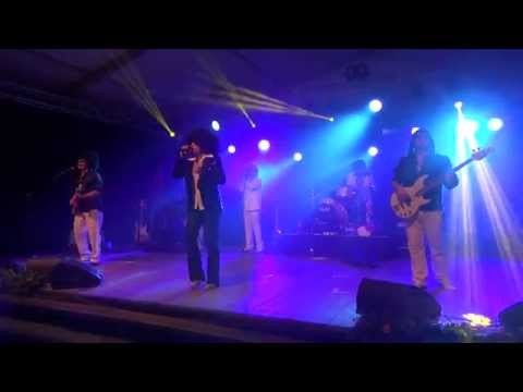 The Disco Kings 2014 SISELEN Kung fu fighting COVER