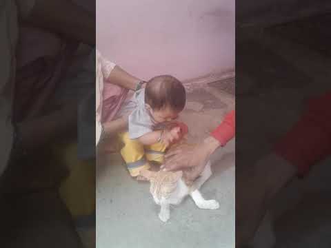 02 sweet aliza and cat