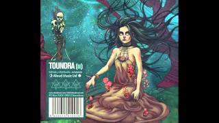 Toundra - Cielo Negro (Black Sky)