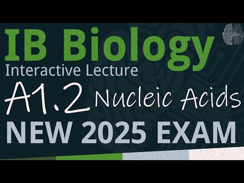 IB Biology A1.2 - Nucleic Acids [SL/HL] - Interactive Lecture 2025-2033