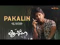 Pakalin Koodozhinju Heart Broken Songs Krishna Movie Allu Arjun Romantic Sad Playlist