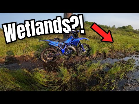 I took my YZ125 to the WETLANDS!?