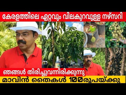 Cheapest Nursery in Kerala | Exotic Fruit Nursery in Kerala |Fruit Plants