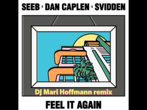 Seeb X Dan Caplen X Svidden - Feel It Again (DJ Mari Hoffmann remix)