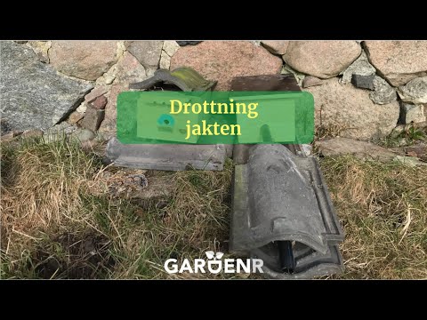 Drottningjakten - Trädgårdshacks med GardenR