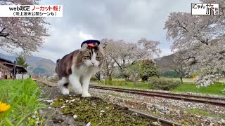 Vol.153「にゃん旅鉄道」きょうも駅は平和だにゃ！